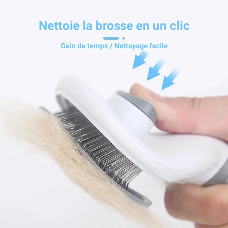 Ma brosse